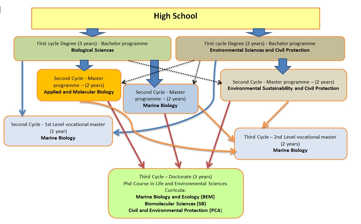 teaching dipartimento di scienze della vita e dell ambiente