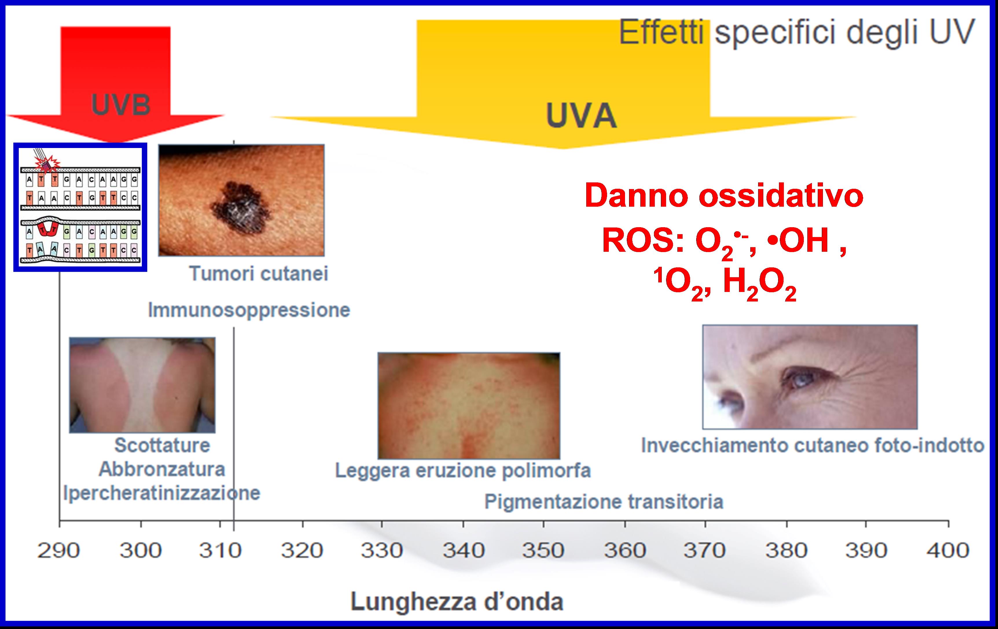 Effetti dei raggi UV sulla pelle