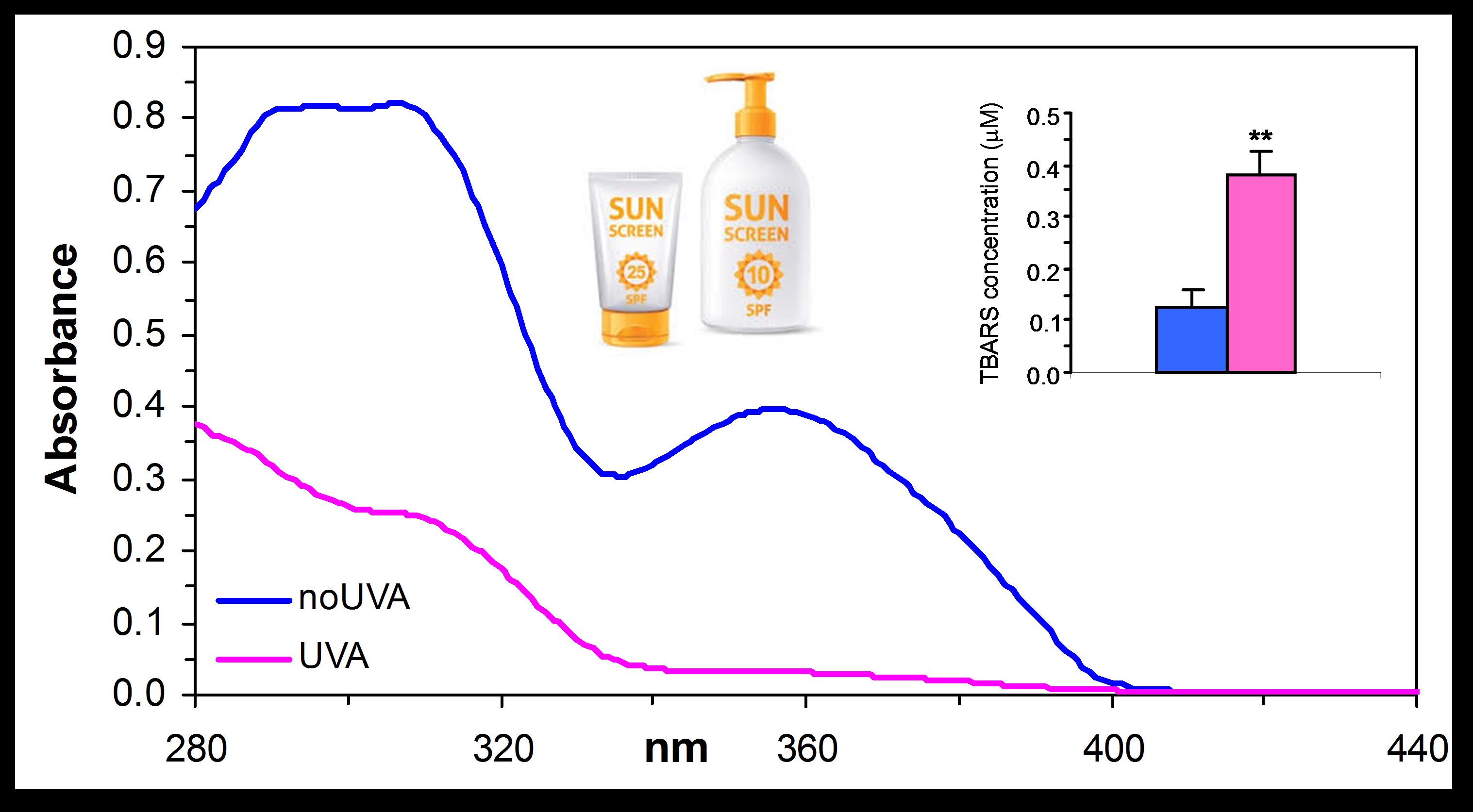 Spettri di assorbanza di crema solare prima e dopo   l’esposizione agli UVA