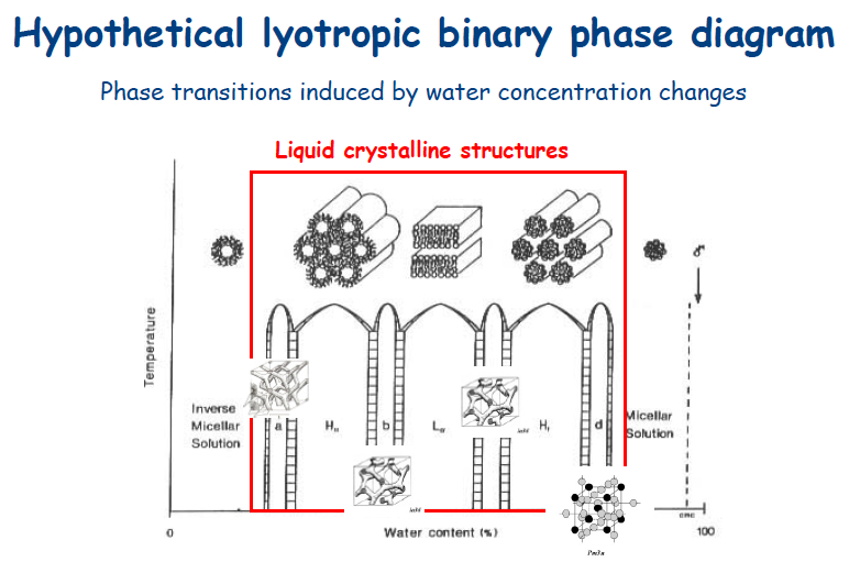 Polimorfismo lipidico: diagramma di fase teorico per sistemi rigorsamente liotropici. La struttura delle diverse fasi è mostrata in forma schematica: a,b,c, d, fasi cubiche; H_I e H_II, fasi esagonali diretta e inversa; La, fase lamellare liquido-cristallina.