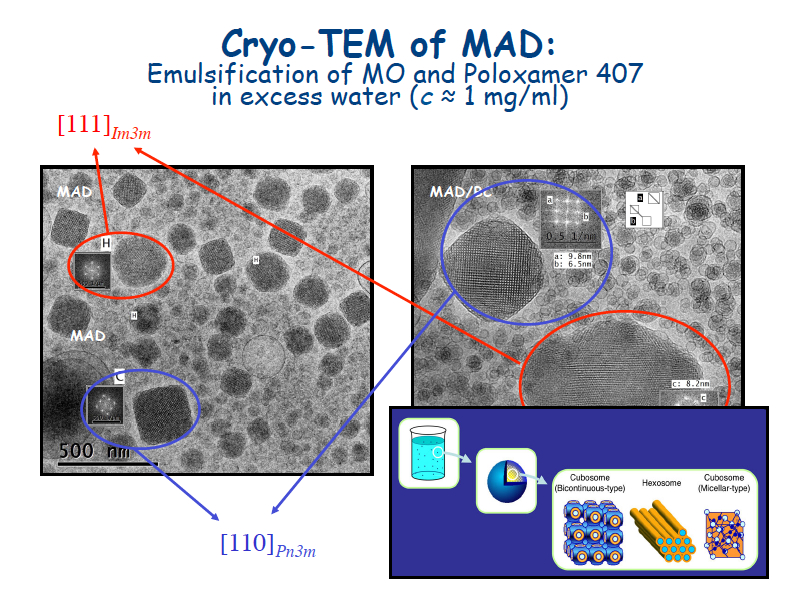  MAD, Monoolein Aqueous Dispersions: immagini al microscopio elettronico di nanoparticelle ottenute per dispersione di fasi cubiche di monooleina in acqua e utilizzate per veicolare farmaci. Gli spettri FFT (mostrati nelle riquadrature) confermano la presenza di cubosomi.