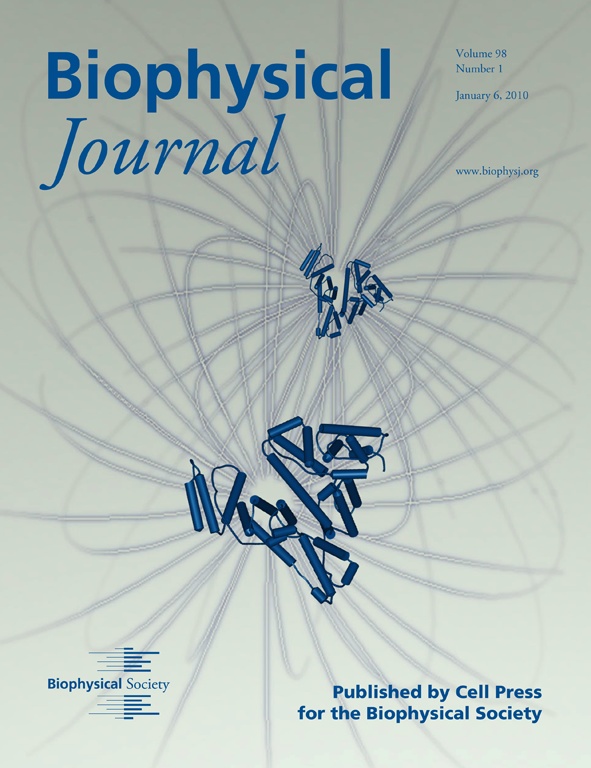 Copertina del Biophysical Journal del 6 gennaio 2010, che schematizza i potenziali di interazione tra due proteine, come ottenuti dall'analisi mediante GENFIT di curve SAXS da BSA (l'albumina di siero bovino) in soluzione concentrata. 