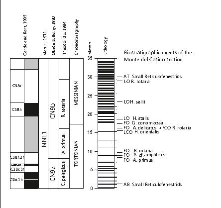 esempio di eventi biostratigrafici in una successione sedimentaria esempio di eventi biostratigrafici in una successione sedimentaria
