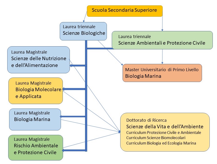 percorso didattico