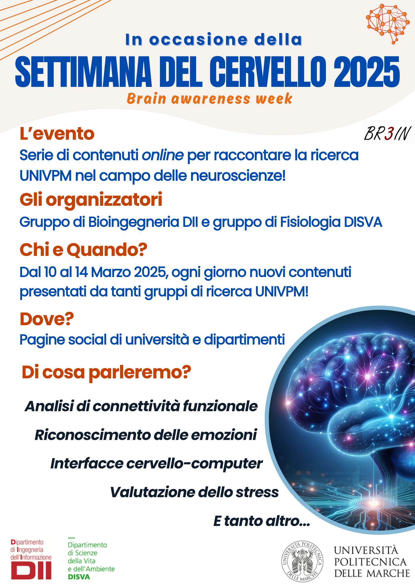 cervello
