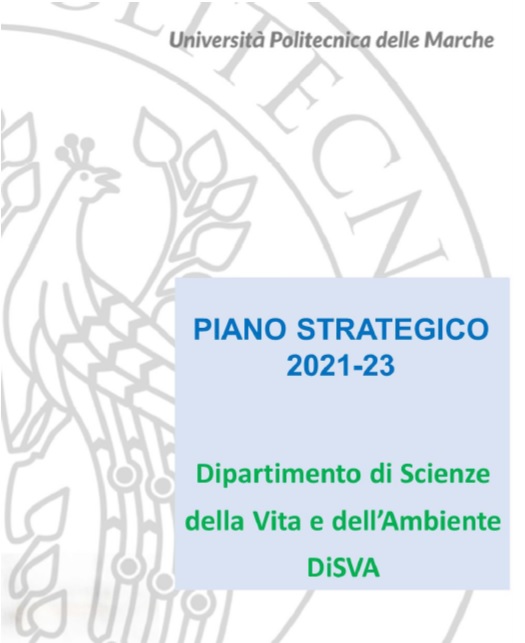 piano strategico