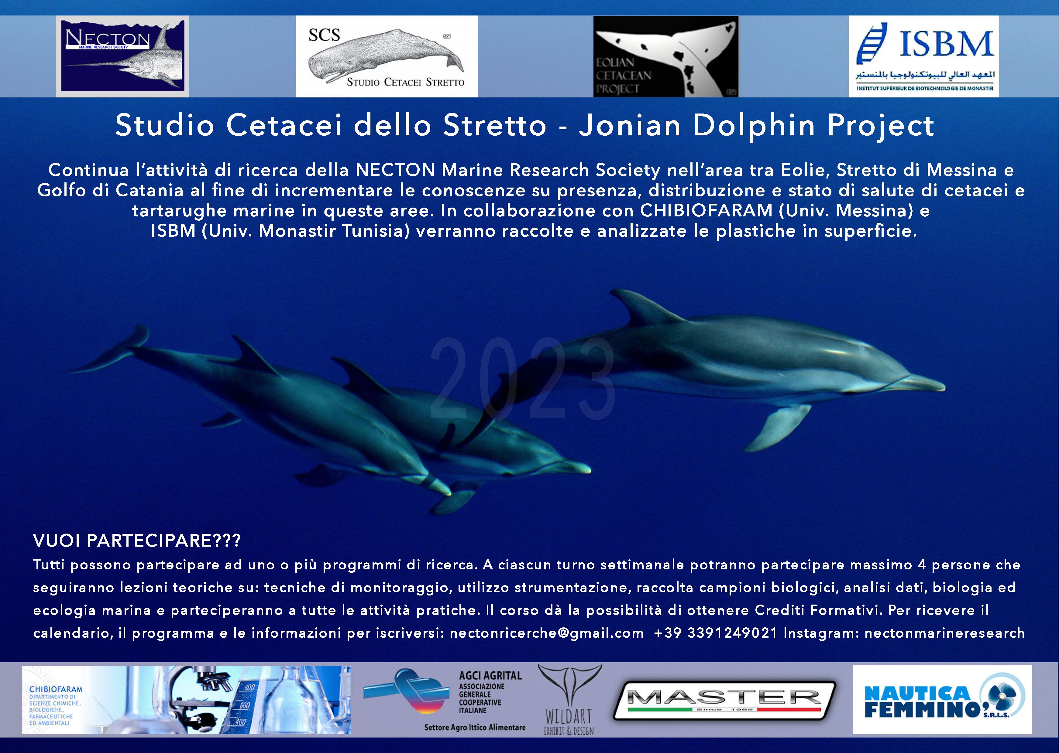 Studio Cetacei dello Stretto
