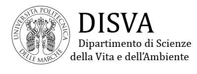 Logo Disva