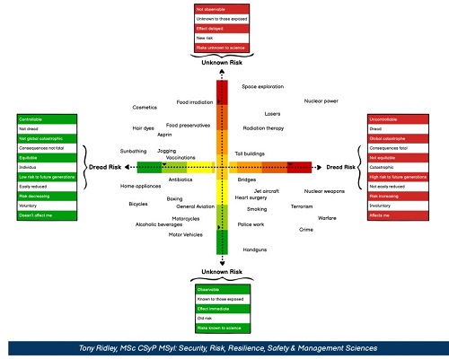 Risk Perception